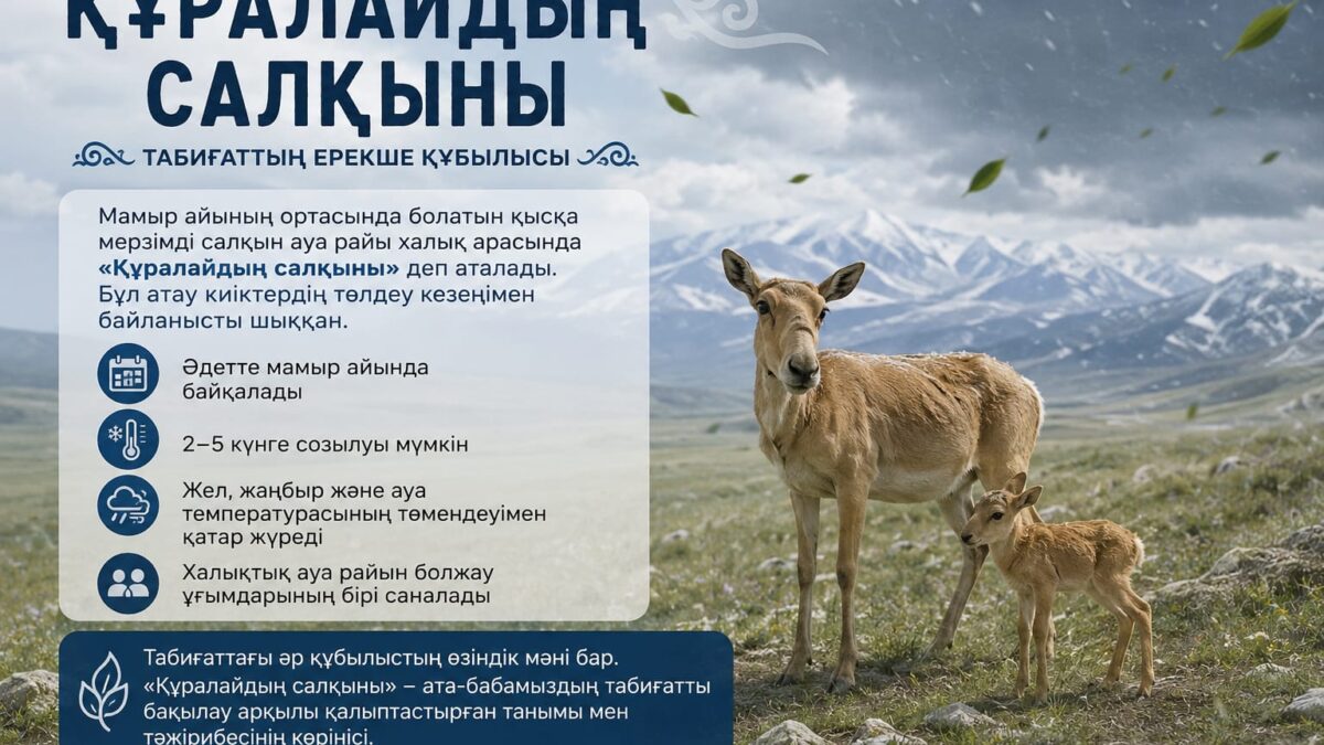 «Құралайдың салқыны» - сезонное природно - климатическое явление