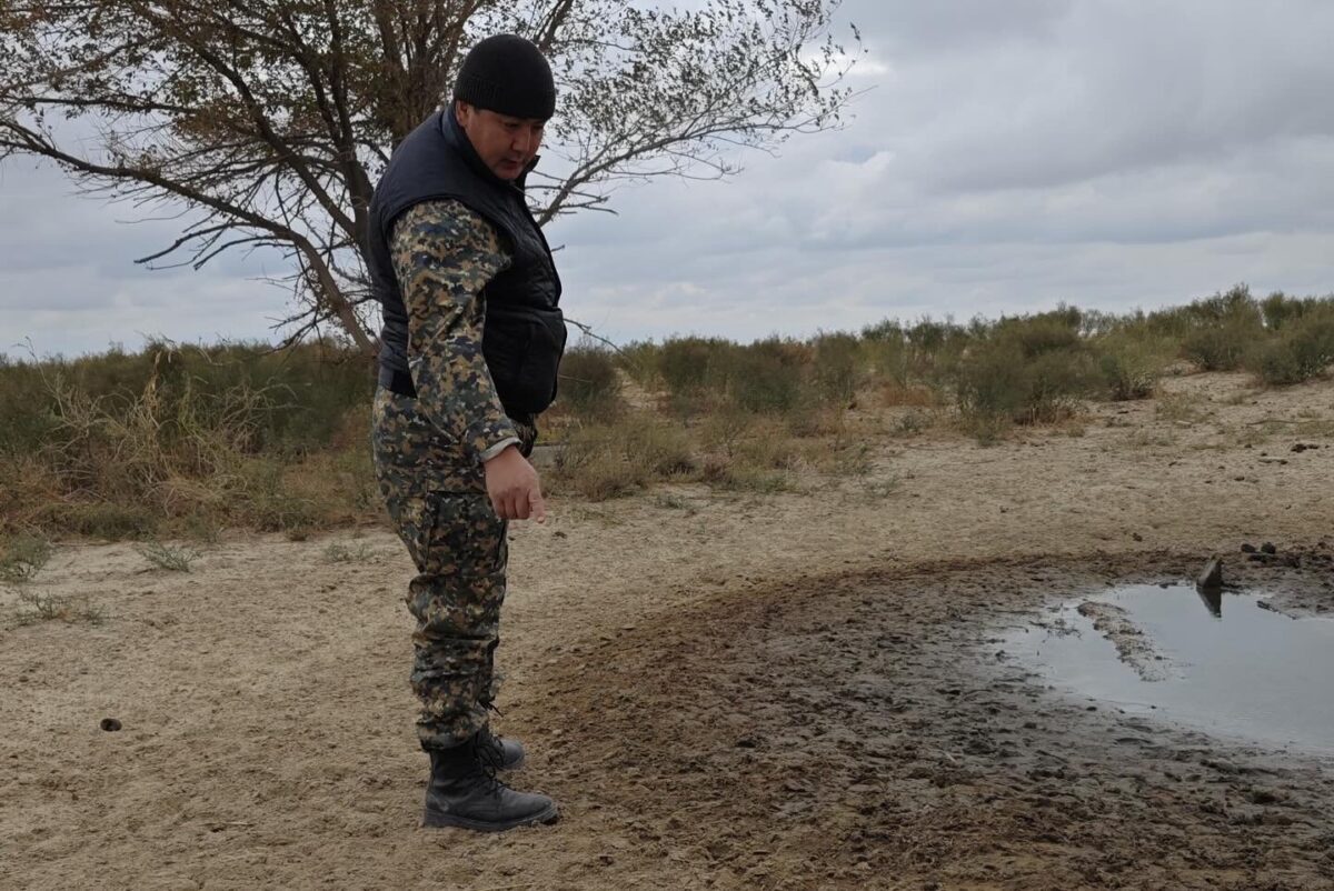 В Барсакельмесском заповеднике провели осенний учет животных