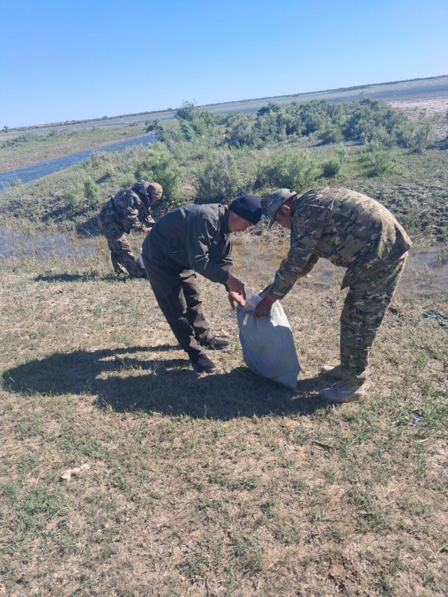 «Таза жағалау» экологиялық акциясы өтті