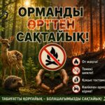 Құрғақ шөпті жағу - үлкен апаттың бастауы!