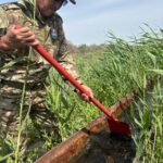 Қаратерең елді мекенінде «Құстарды бақылаудың көктемгі декадасы» өтті