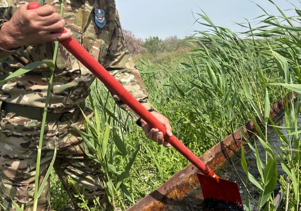 Қаратерең елді мекенінде «Құстарды бақылаудың көктемгі декадасы» өтті