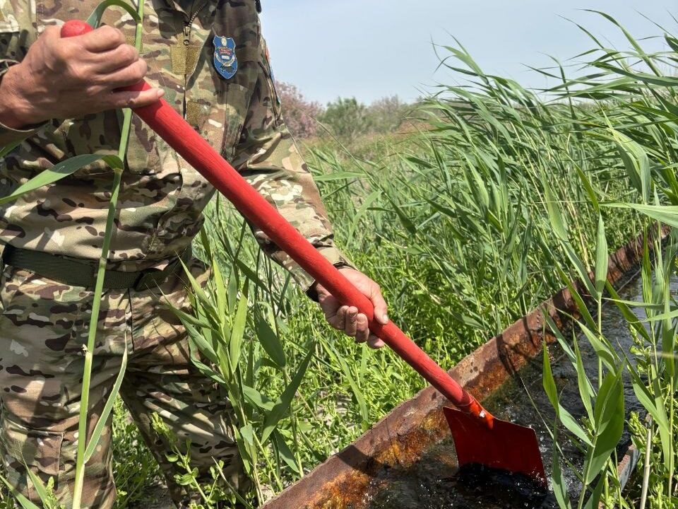 Қаратерең елді мекенінде «Құстарды бақылаудың көктемгі декадасы» өтті