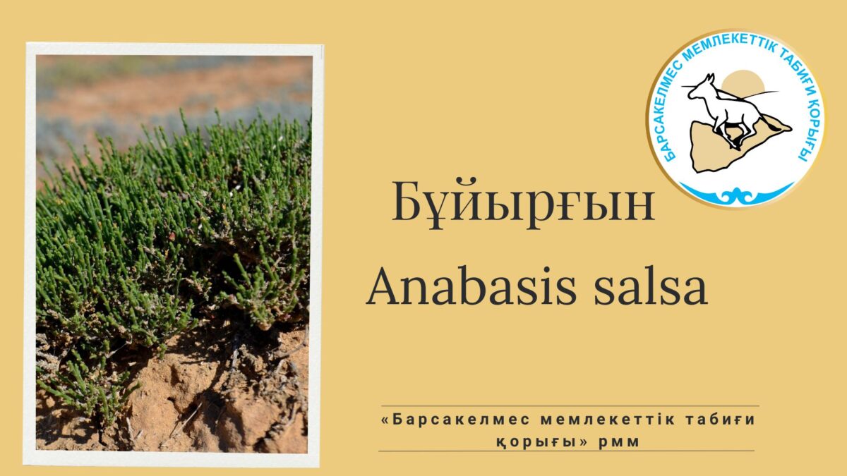 Провели торжественное собрание