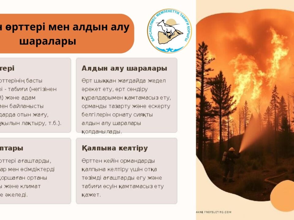 🔸Орман өрттері мен алдын алу шаралары.