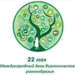 22 мая – Международный день биологического разнообразия
