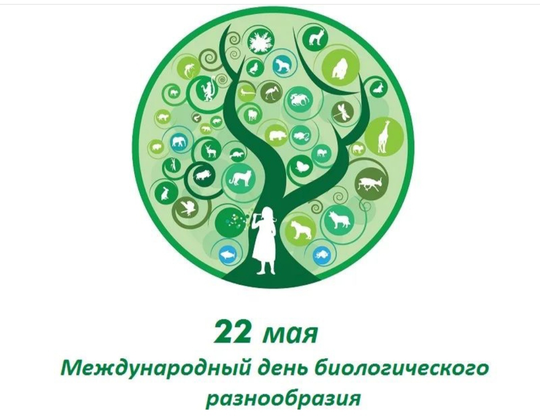 22 мая – Международный день биологического разнообразия