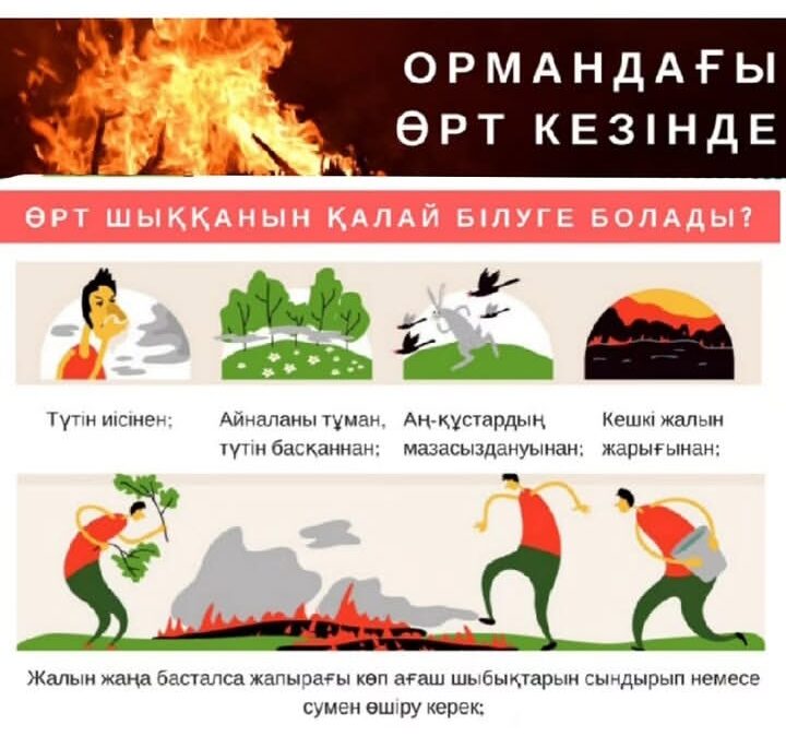 Пал сухой травы – угроза природе и жизни!