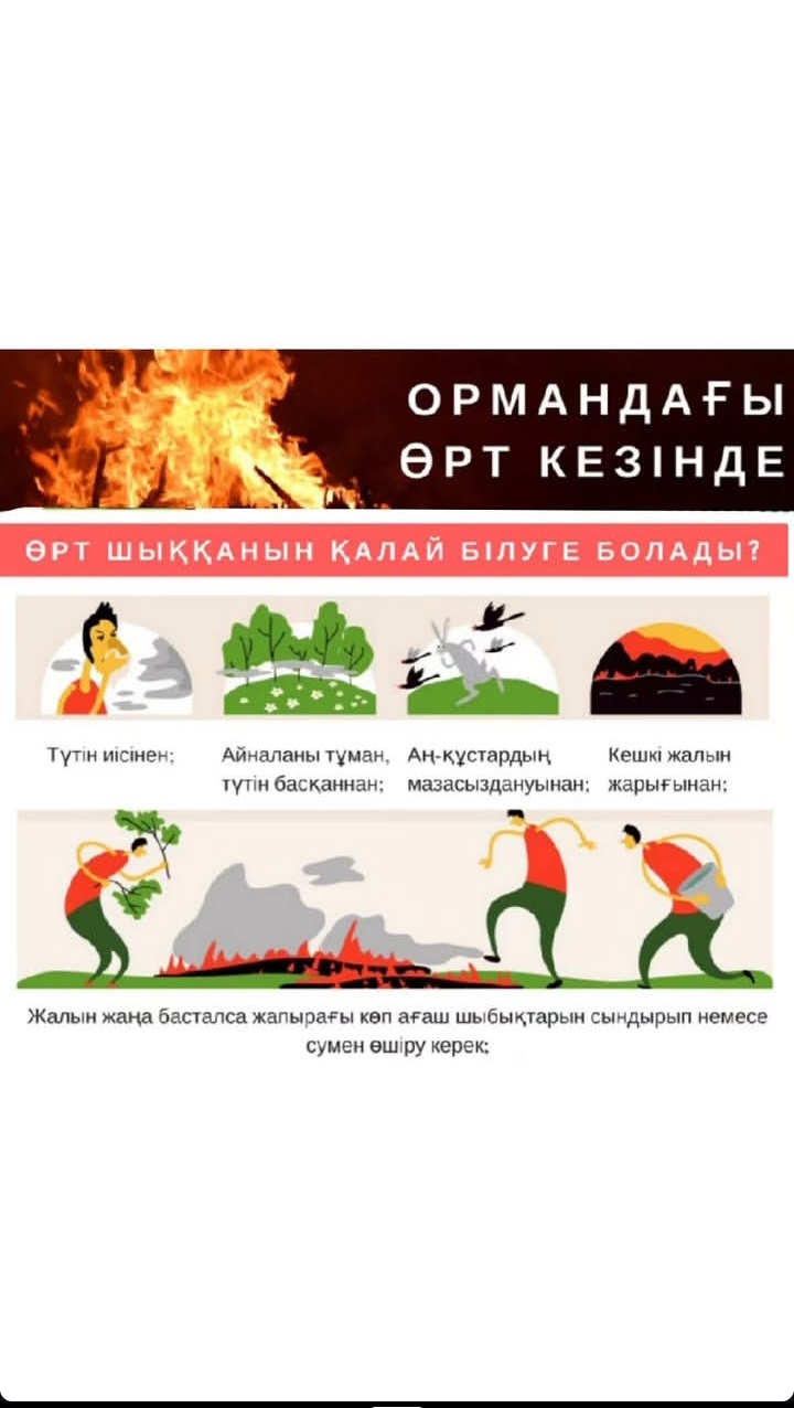 Пал сухой травы – угроза природе и жизни!