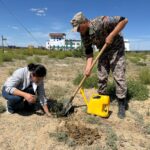 Қорықтың кеңсе ғимараты аумағында 20 түп қараағаш көшеті отырғызылды