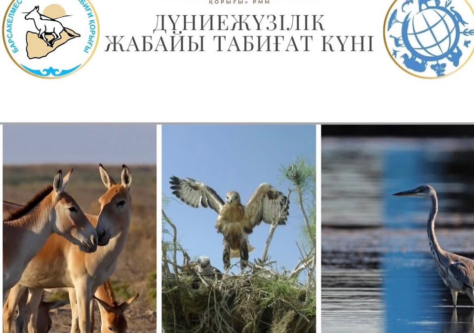 3 марта – Всемирный день дикой природы.