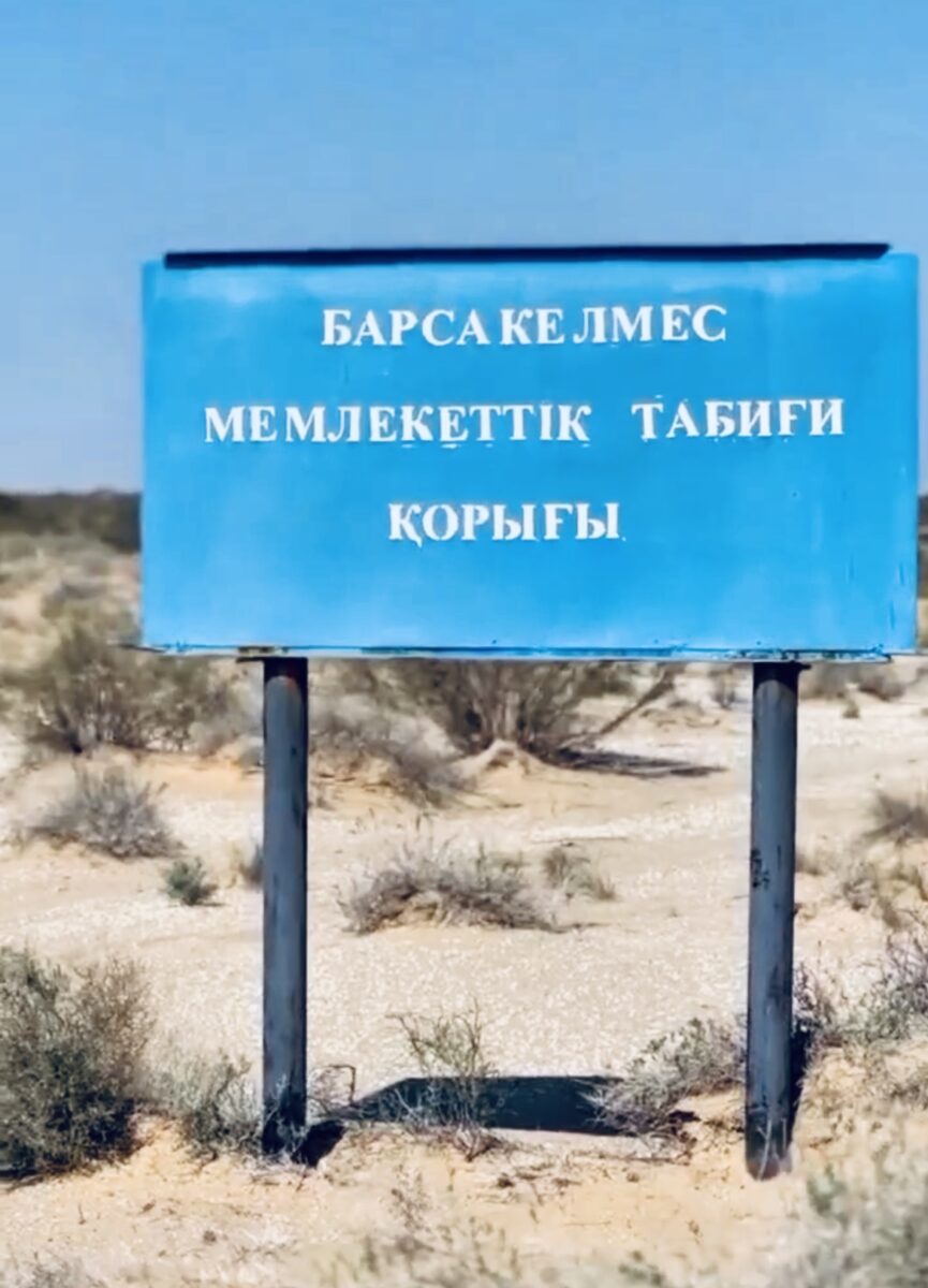 На территории заповедника были проведены наблюдательные работы