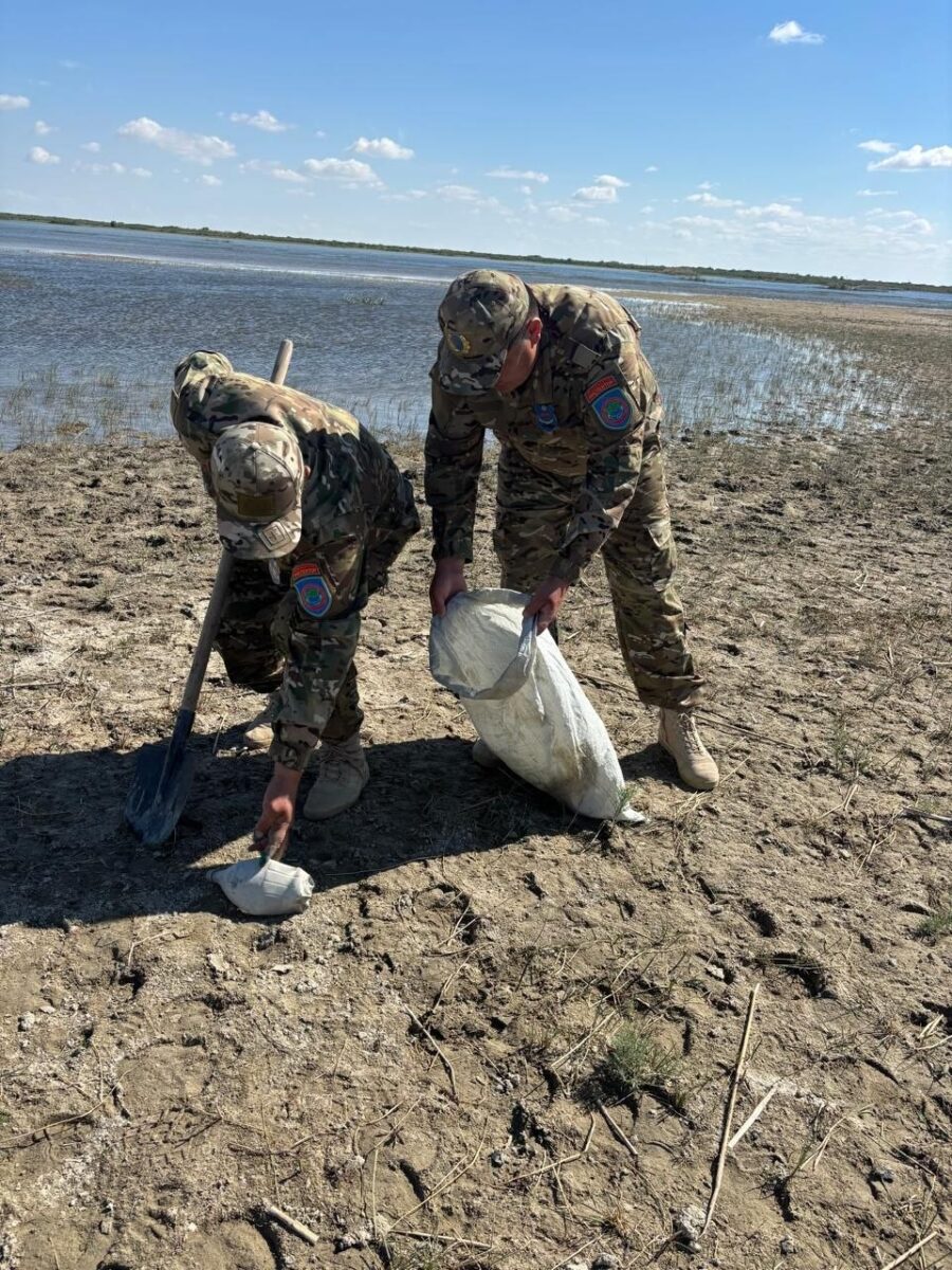 5 маусым – Дүниежүзілік қоршаған ортаны қорғау күні және 7 маусым – Халықаралық су айдындарын тазалау күніне орай экологиялық акция өтті