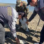5 маусым – Дүниежүзілік қоршаған ортаны қорғау күні және 7 маусым – Халықаралық су айдындарын тазалау күніне орай экологиялық акция өтті