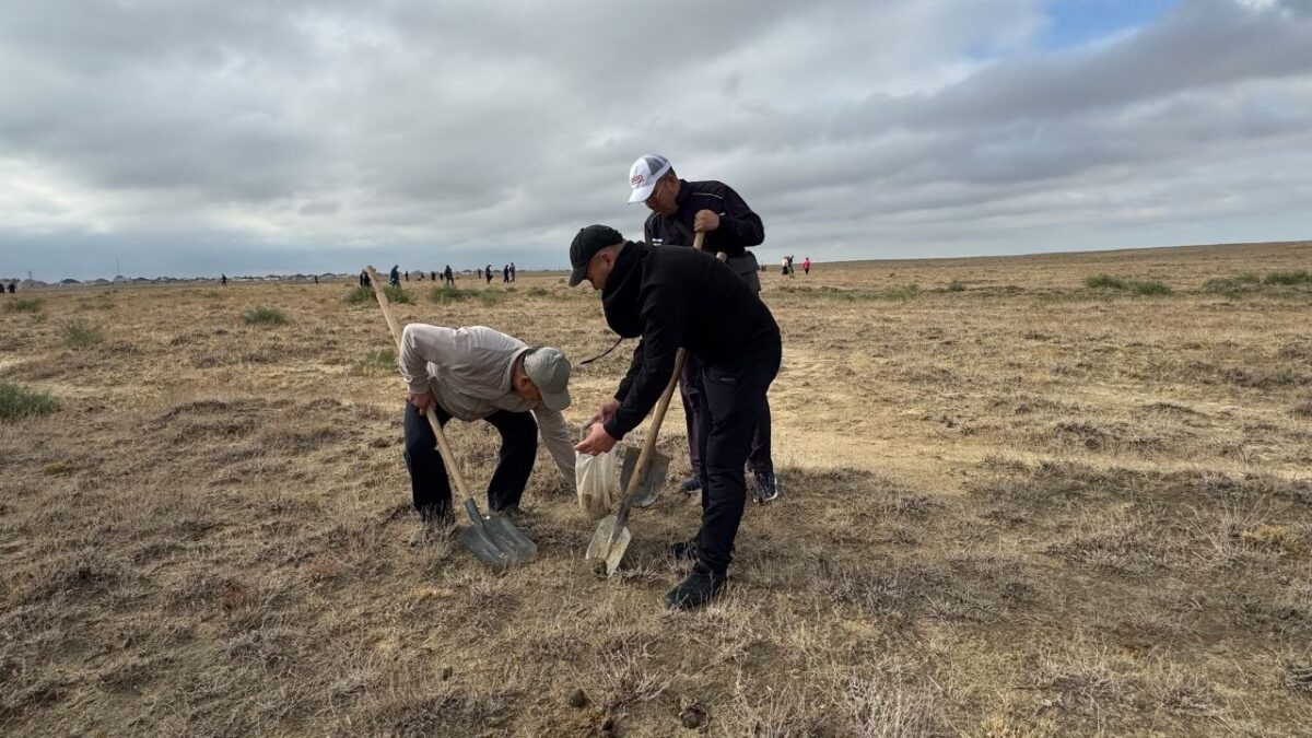 «World Cleanup Day» акциясы өтті