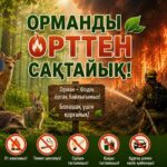 Құрғақ шөпті жағу – үлкен апаттың бастауы!