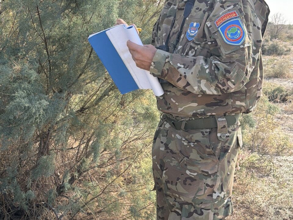 «Орманшының бір күні»
