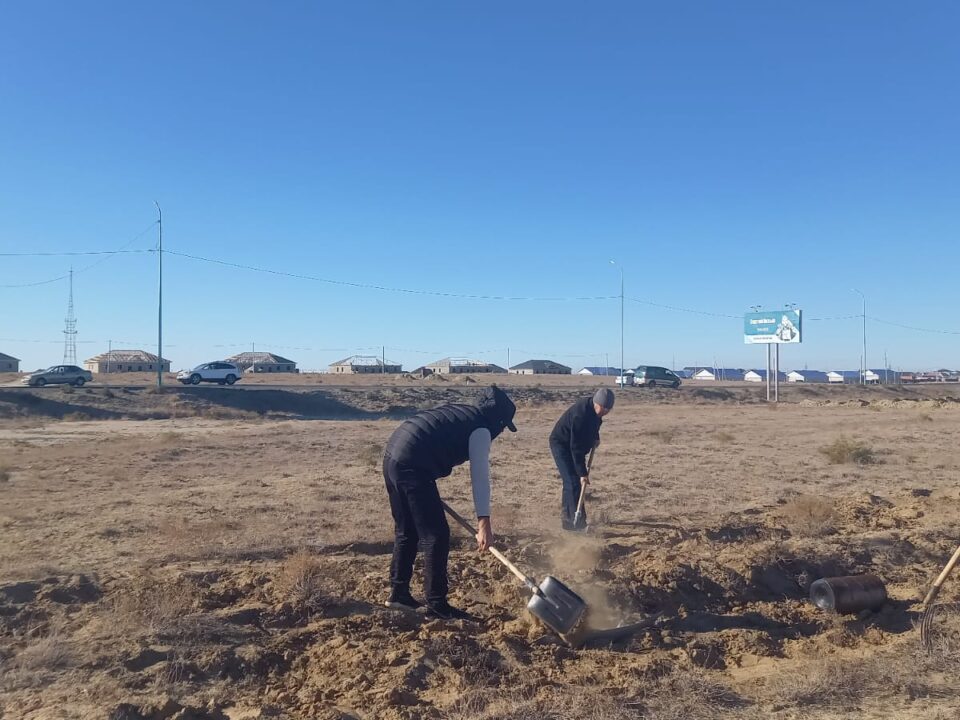 В Барсакельмесском заповеднике проведены работы по уборке территории