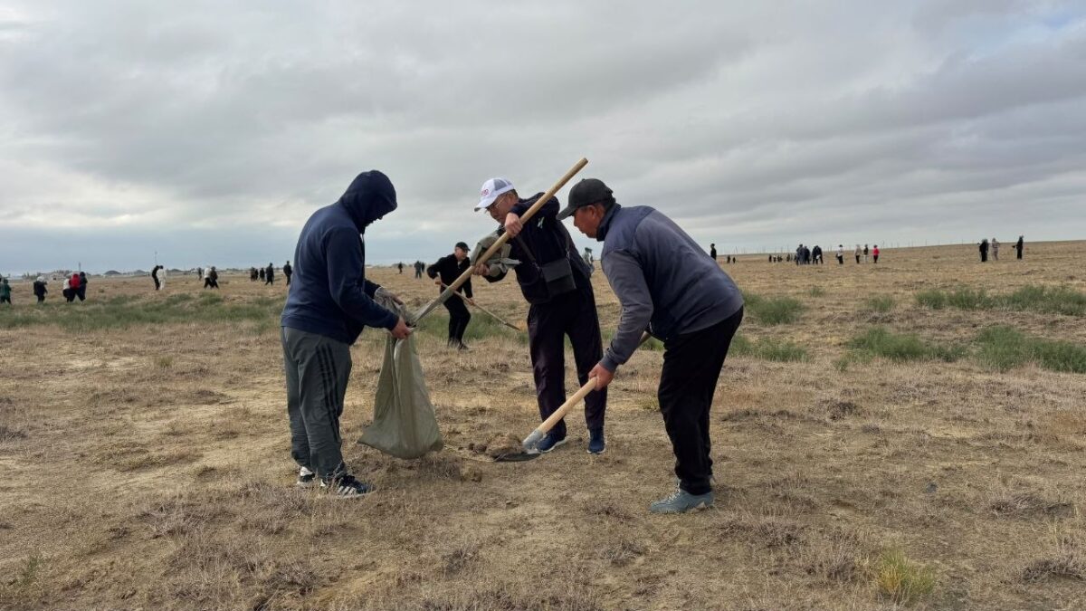 Состоялась акция «World Cleanup Day»